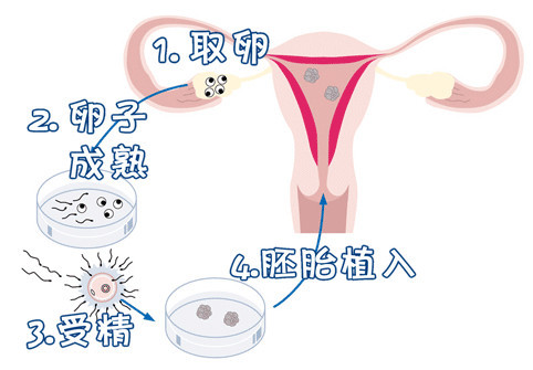 同仁堂国医馆